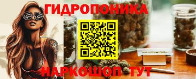 метадон Аргун