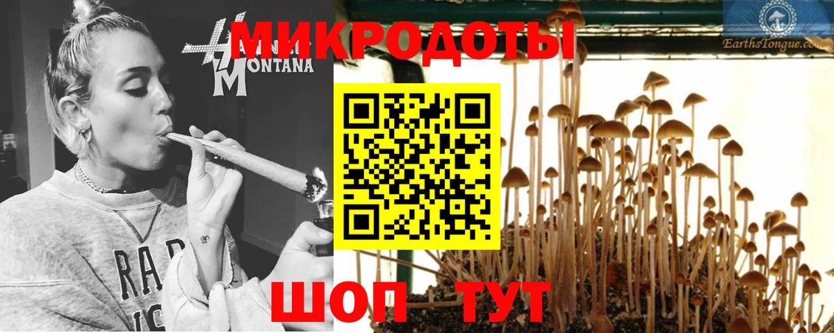 Апшеронск  Галлюциногенные грибы MAGIC MUSHROOMS  Вход с VPN 